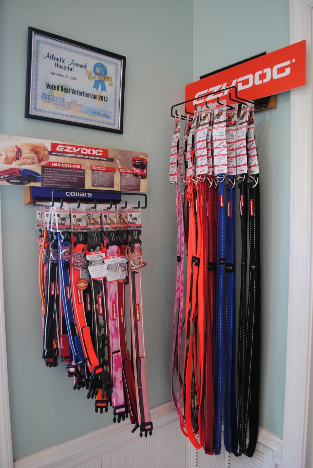 We carry EzyDog collars and leashes! We carry EzyDog collars and leashes!