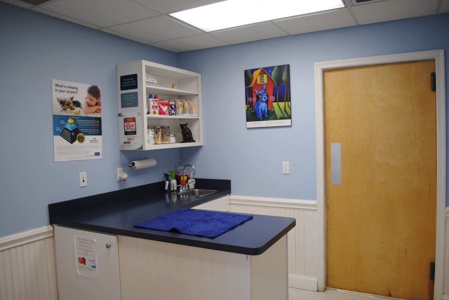 Our large, bright and cheerful exam rooms are designed to put you, and more importantly, your pet at ease!