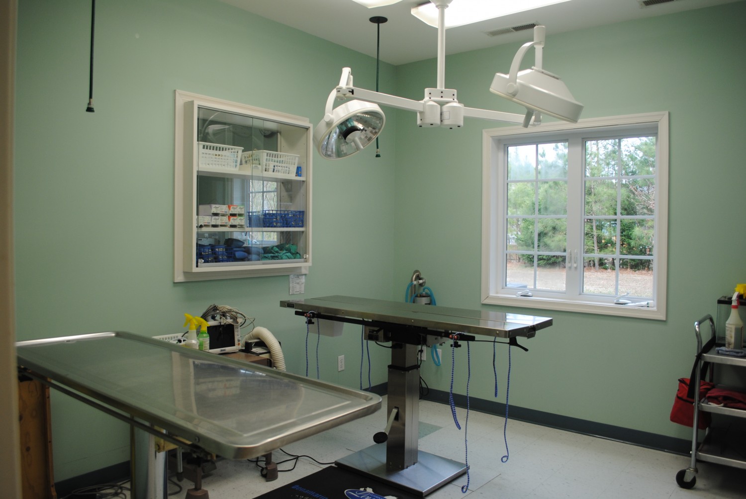 Atlantic Animal Hospital has it's very own surgery suite, complete with oxygen, heart rate, and blood pressure monitors.  Our surgery table is even heated to make sure that all our surgery patients are kept as comfortable as possible.