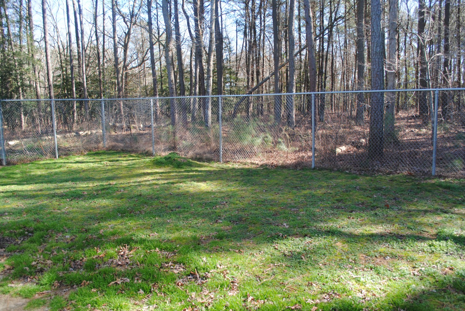 For our canine guests, we have two fenced in yards where they can enjoy the sunshine!